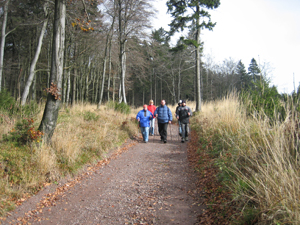 nordicwalking3